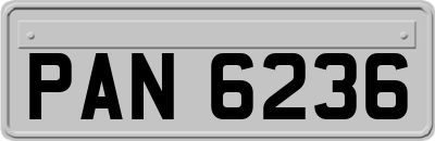 PAN6236
