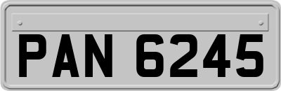 PAN6245