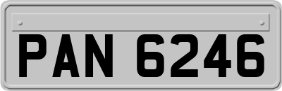 PAN6246