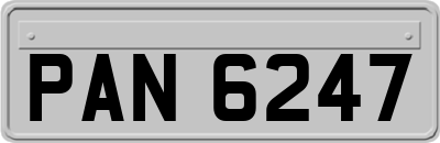 PAN6247
