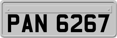 PAN6267