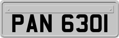 PAN6301