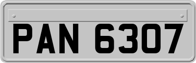 PAN6307