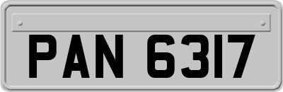 PAN6317