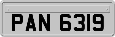 PAN6319