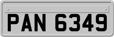 PAN6349