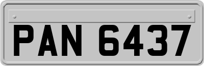 PAN6437