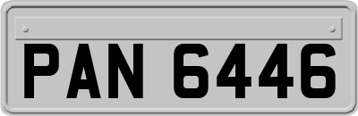 PAN6446