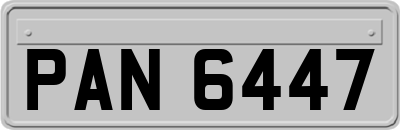 PAN6447