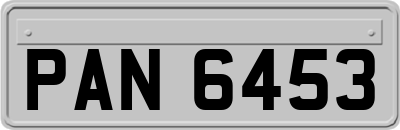 PAN6453