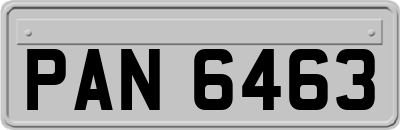PAN6463