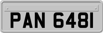 PAN6481