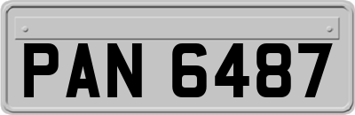 PAN6487