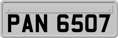 PAN6507