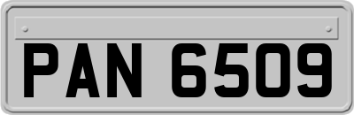PAN6509