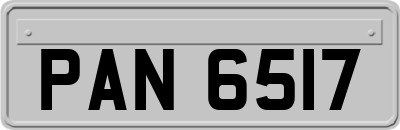 PAN6517