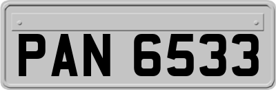 PAN6533
