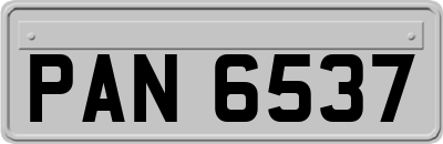 PAN6537