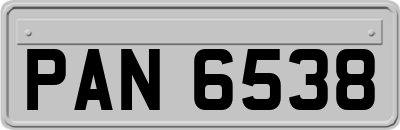 PAN6538
