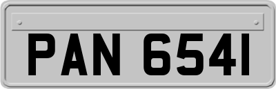 PAN6541