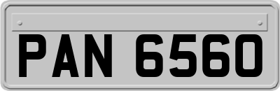 PAN6560