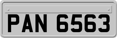 PAN6563