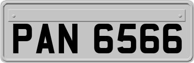 PAN6566