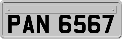 PAN6567