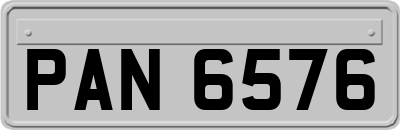 PAN6576