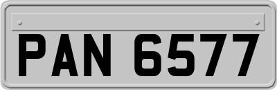 PAN6577