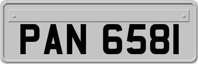 PAN6581
