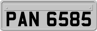 PAN6585