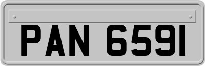 PAN6591