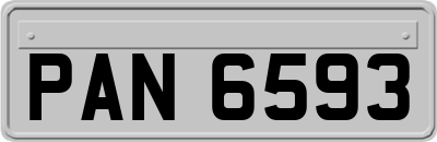 PAN6593