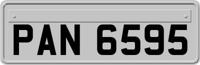 PAN6595