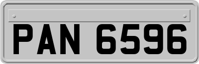 PAN6596