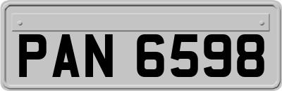 PAN6598