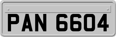 PAN6604