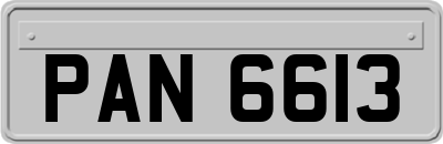 PAN6613