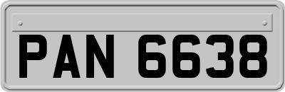 PAN6638
