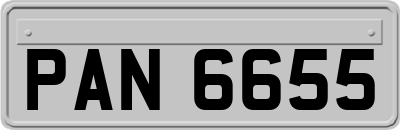 PAN6655