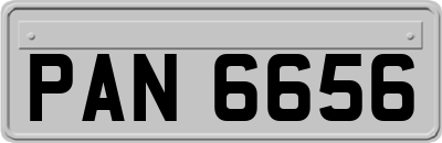 PAN6656