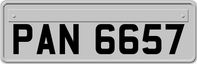 PAN6657