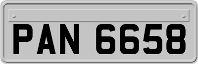 PAN6658