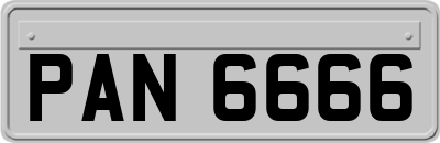 PAN6666