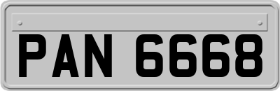 PAN6668