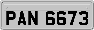 PAN6673