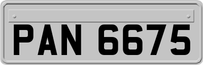 PAN6675