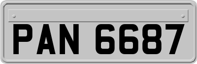 PAN6687