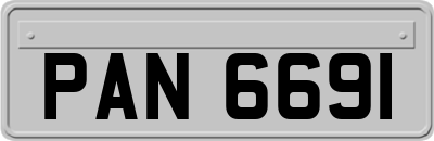 PAN6691